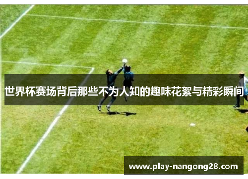 世界杯赛场背后那些不为人知的趣味花絮与精彩瞬间