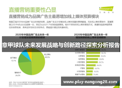 意甲球队未来发展战略与创新路径探索分析报告