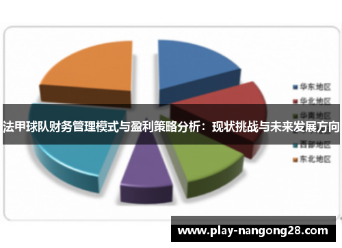 法甲球队财务管理模式与盈利策略分析：现状挑战与未来发展方向
