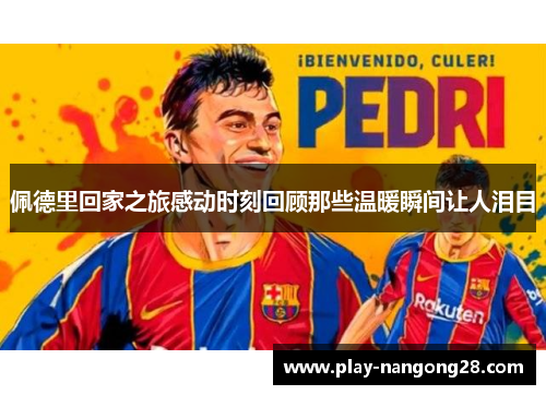 佩德里回家之旅感动时刻回顾那些温暖瞬间让人泪目