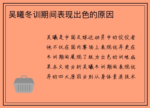 吴曦冬训期间表现出色的原因