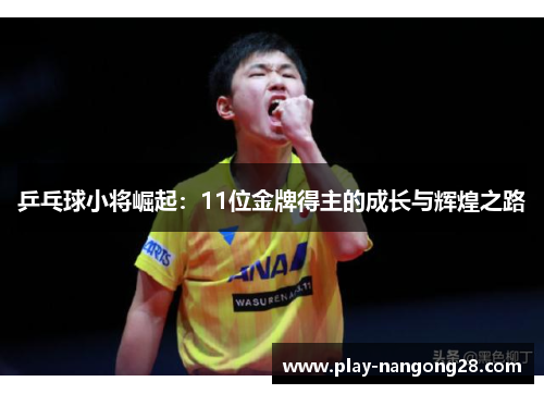 乒乓球小将崛起:11位金牌得主的成长与辉煌之路