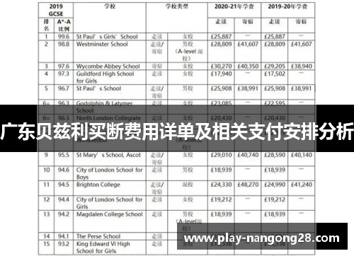 广东贝兹利买断费用详单及相关支付安排分析